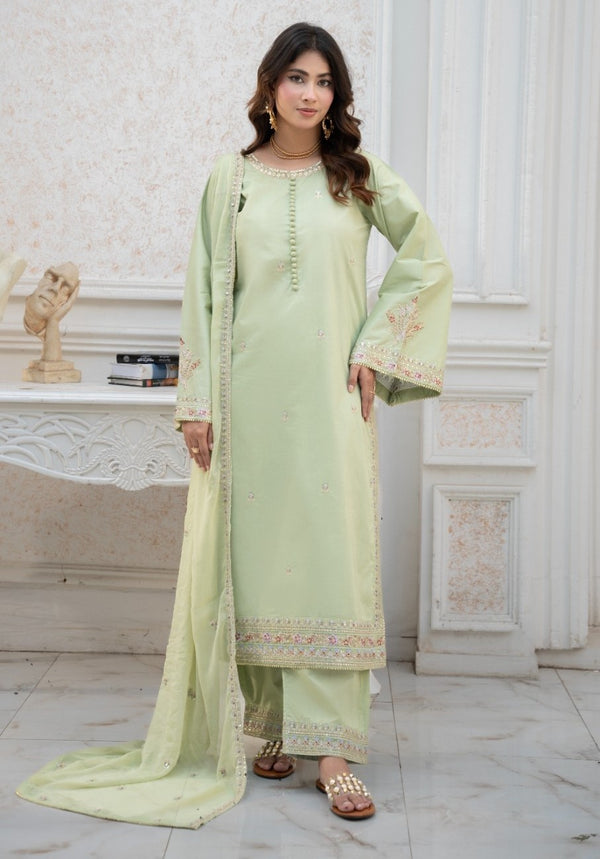 Pista Dream 3 piece Embroidered Stitched suit